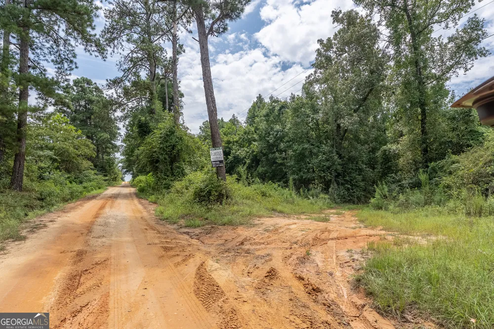 0 Nicholson-Carr RD Chester, GA 31012
