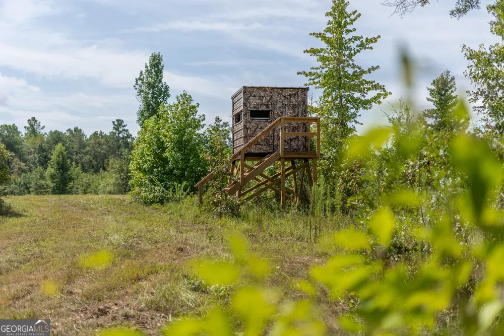 0 Nicholson-Carr RD Chester, GA 31012