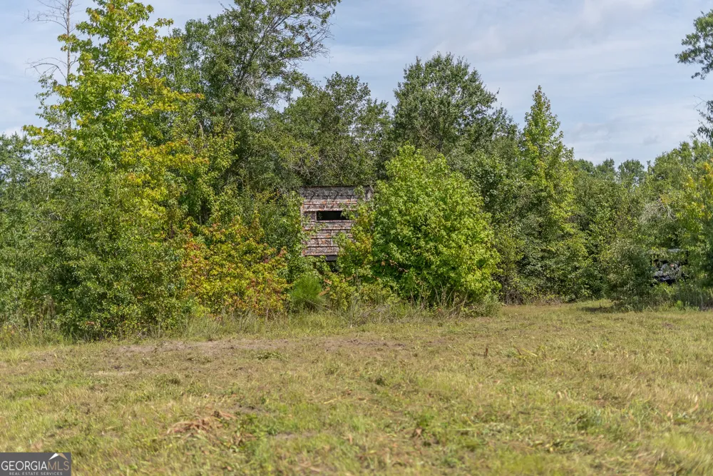 0 Nicholson-Carr RD Chester, GA 31012