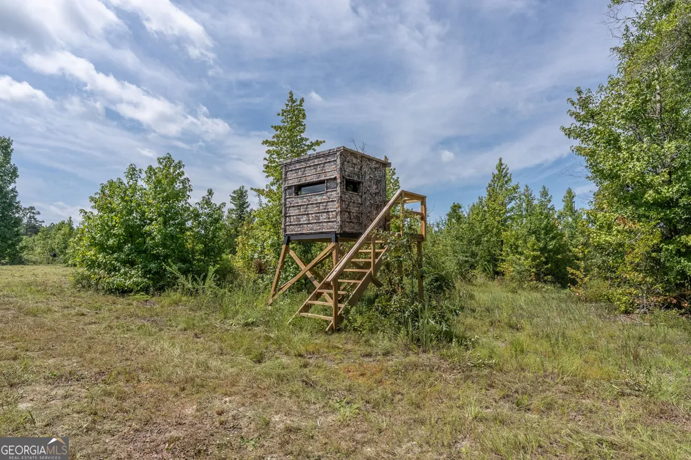 0 Nicholson-Carr RD Chester, GA 31012
