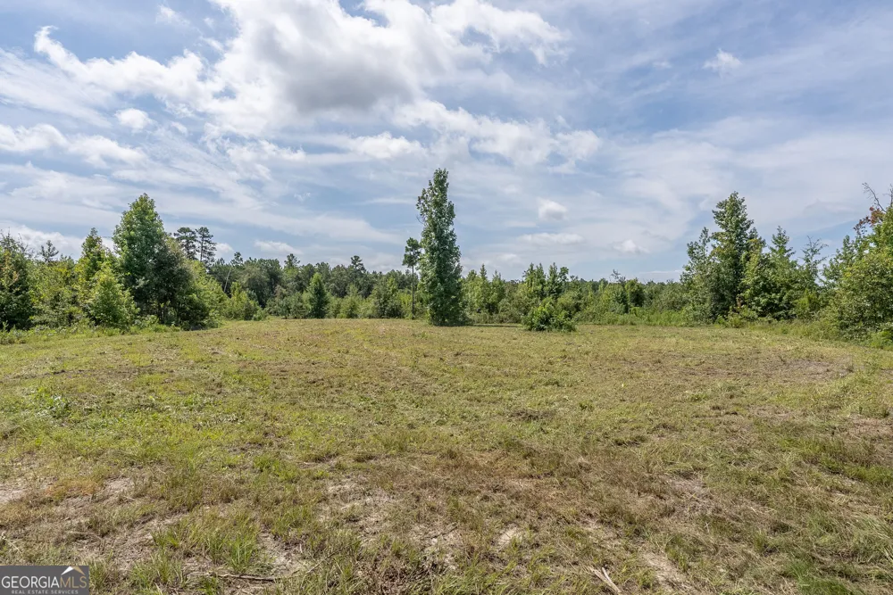 0 Nicholson-Carr RD Chester, GA 31012