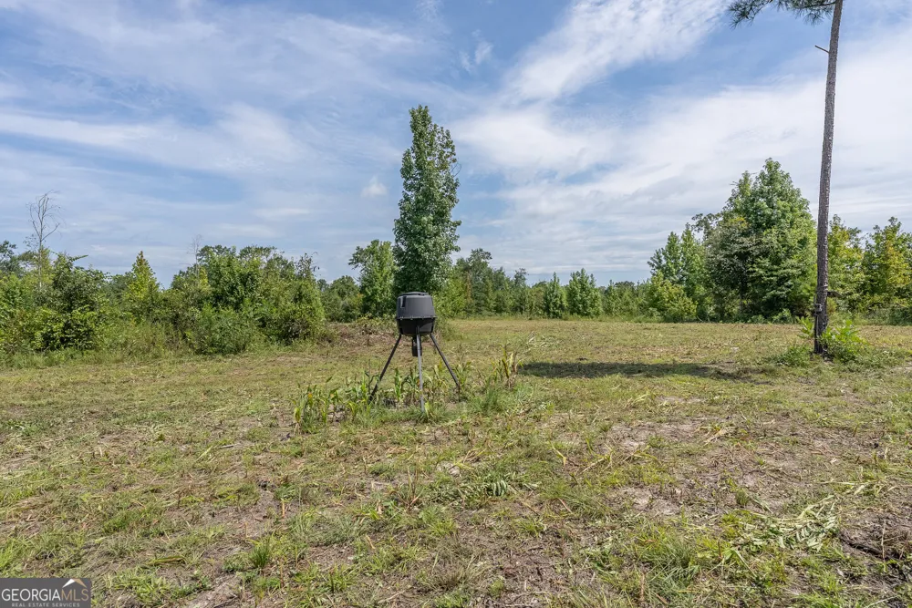 0 Nicholson-Carr RD Chester, GA 31012
