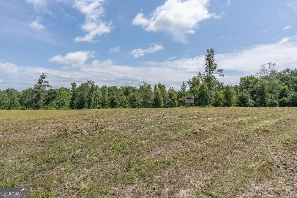 0 Nicholson-Carr RD Chester, GA 31012