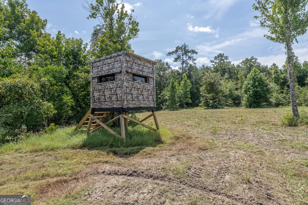 0 Nicholson-Carr RD Chester, GA 31012