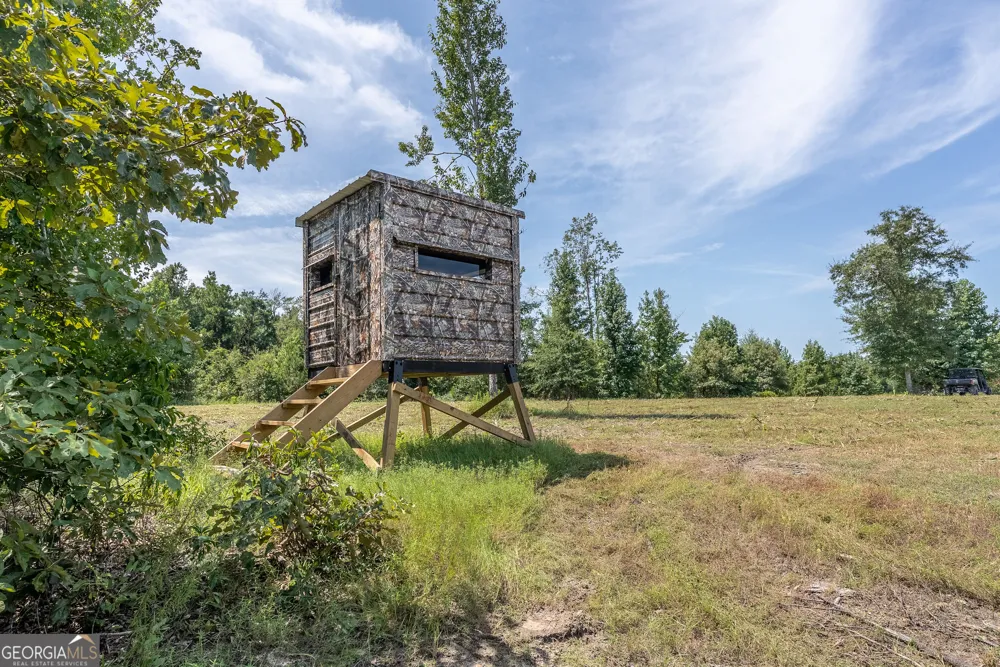 0 Nicholson-Carr RD Chester, GA 31012