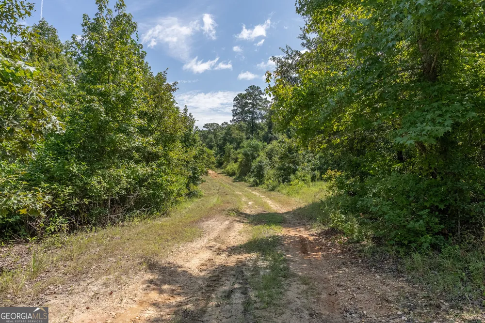 0 Nicholson-Carr RD Chester, GA 31012