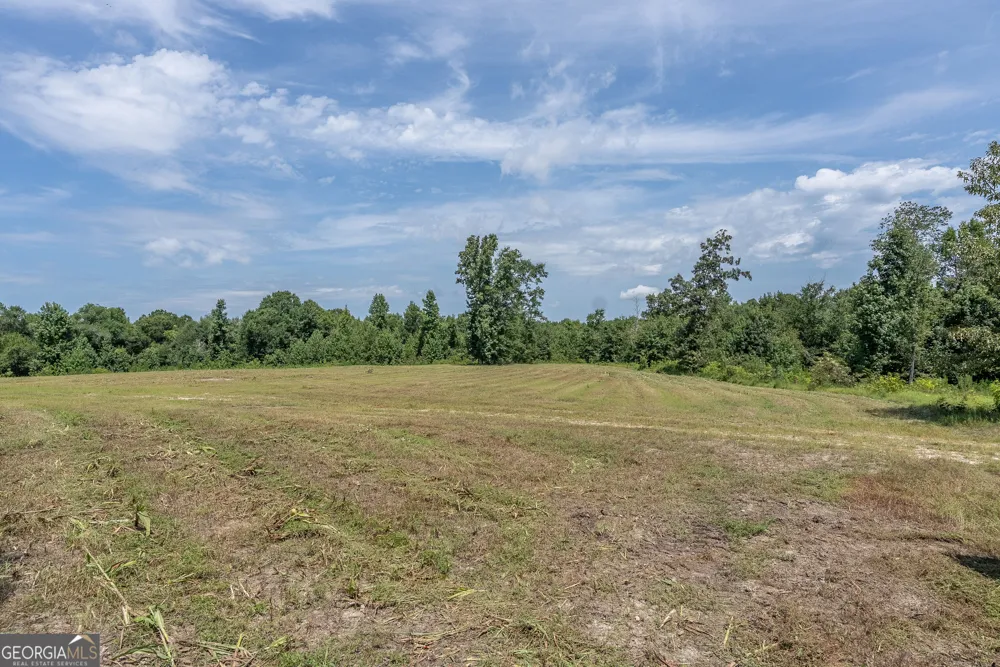 0 Nicholson-Carr RD Chester, GA 31012