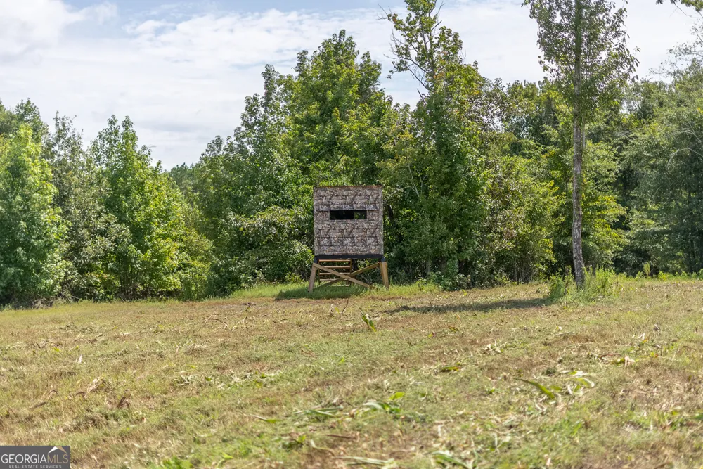0 Nicholson-Carr RD Chester, GA 31012