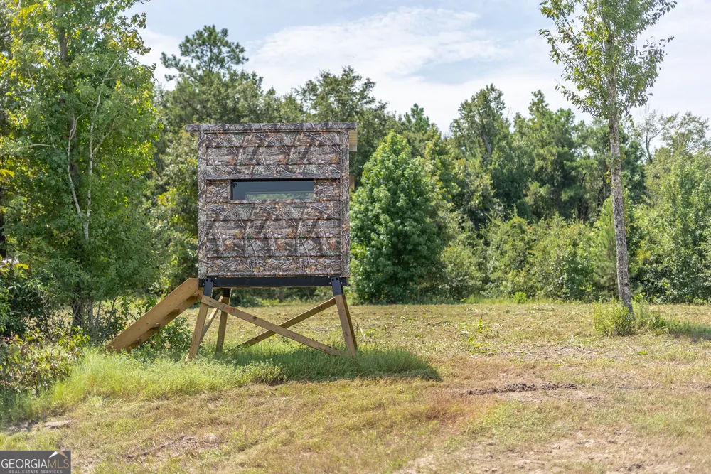 0 Nicholson-Carr RD Chester, GA 31012
