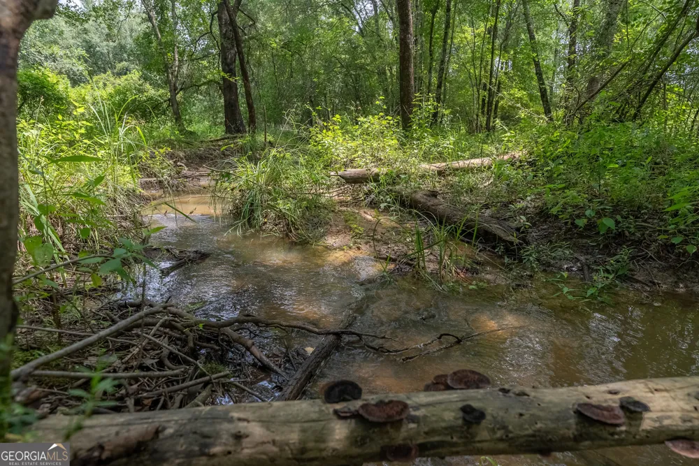 0 Nicholson-Carr RD Chester, GA 31012