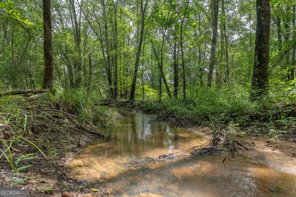0 Nicholson-Carr RD Chester, GA 31012