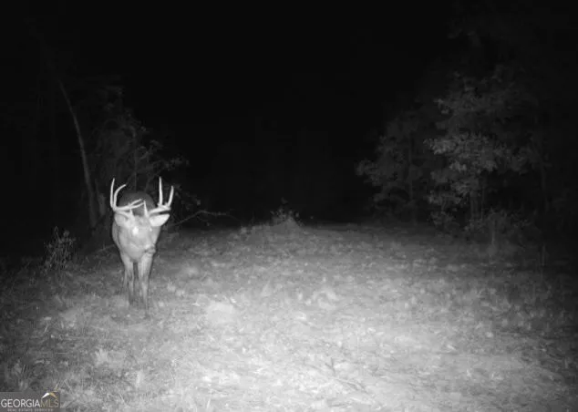 0 Nicholson-Carr RD Chester, GA 31012