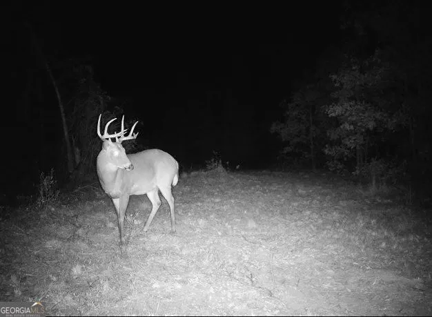 0 Nicholson-Carr RD Chester, GA 31012