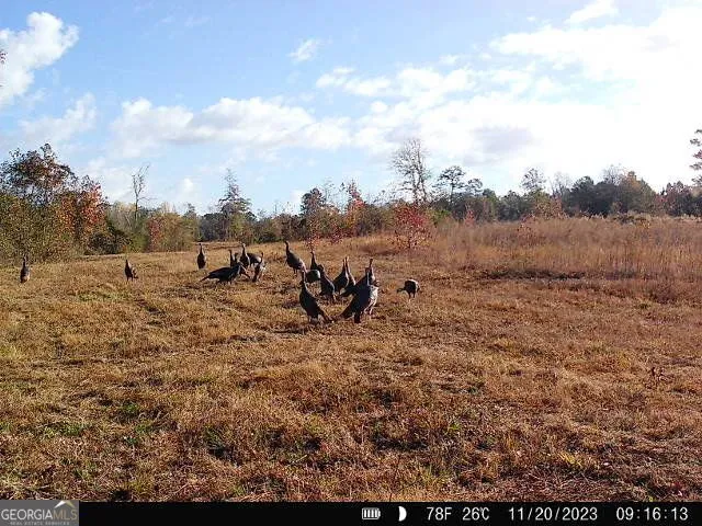 0 Nicholson-Carr RD Chester, GA 31012