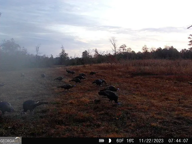 0 Nicholson-Carr RD Chester, GA 31012