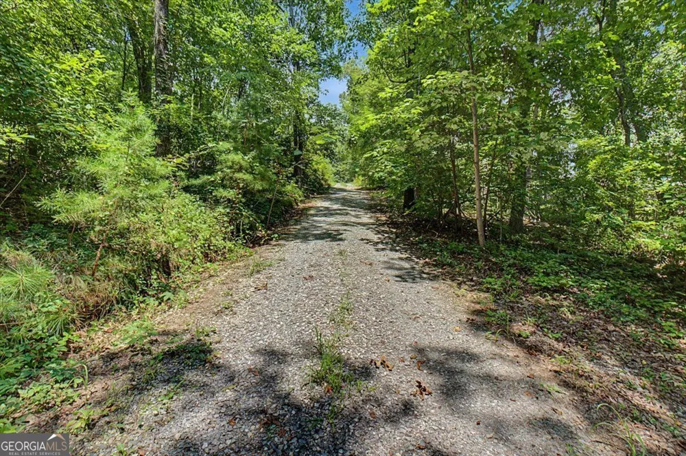 276 Wilderness Camp RD SE White, GA 30184