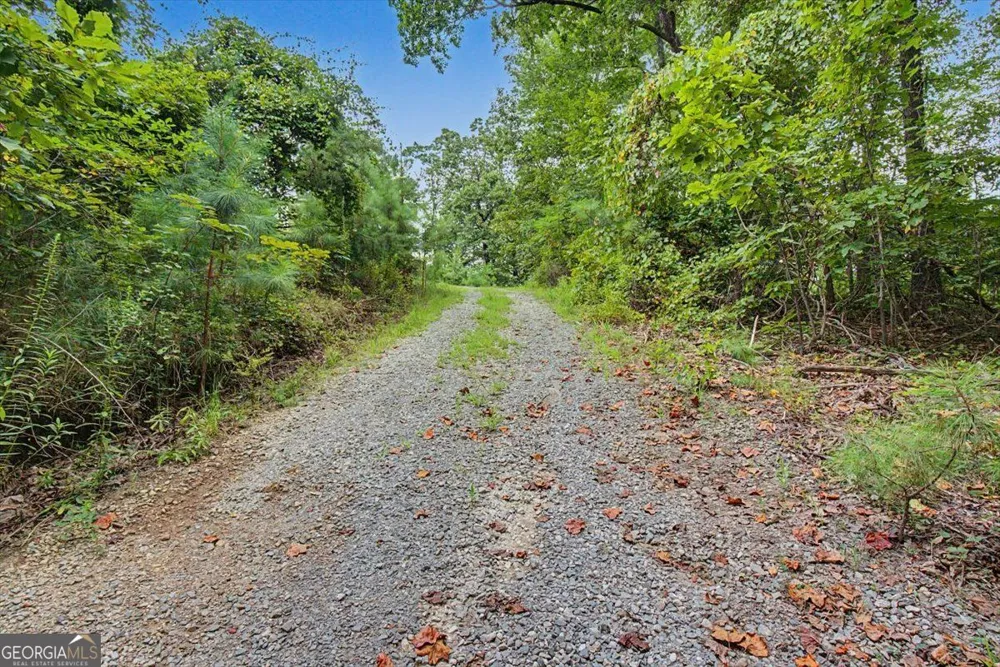 276 Wilderness Camp RD SE White, GA 30184