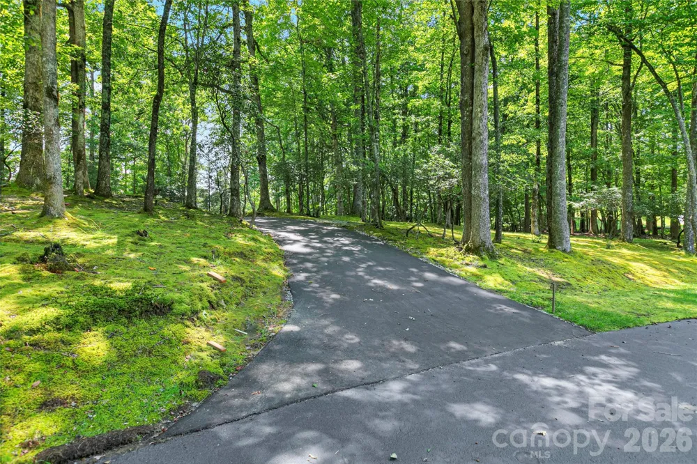4 Nvya Court Brevard, NC 28712