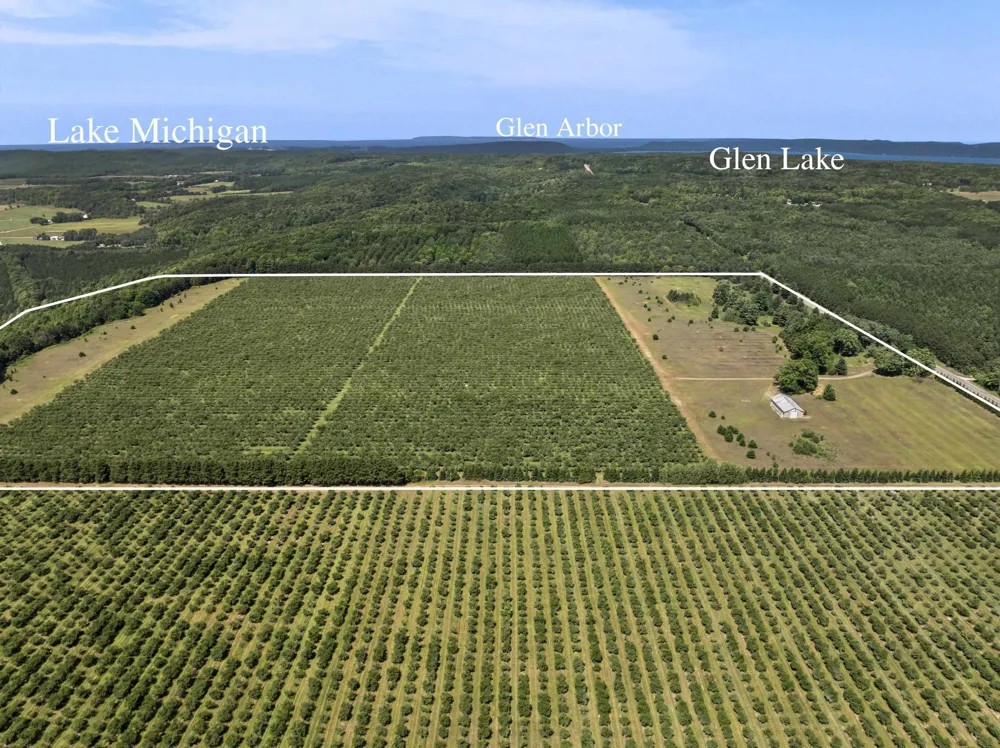 12540 S Benzonia Trail Empire Township, MI 49630