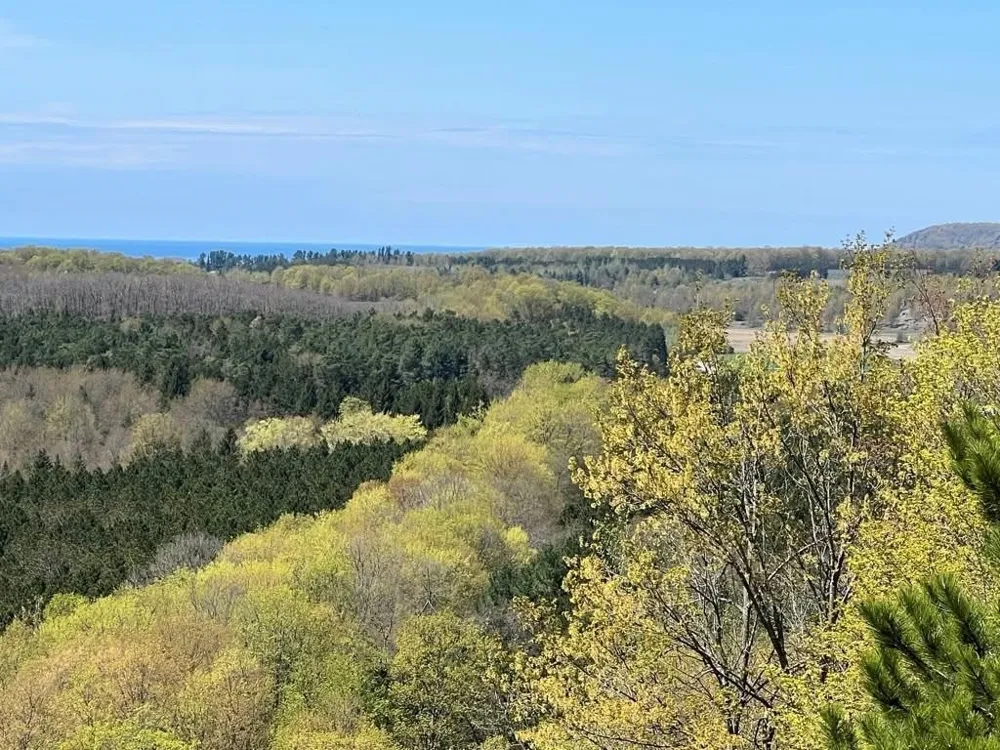 12540 S Benzonia Trail Empire Township, MI 49630
