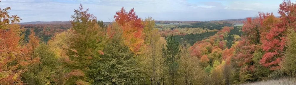 12540 S Benzonia Trail Empire Township, MI 49630
