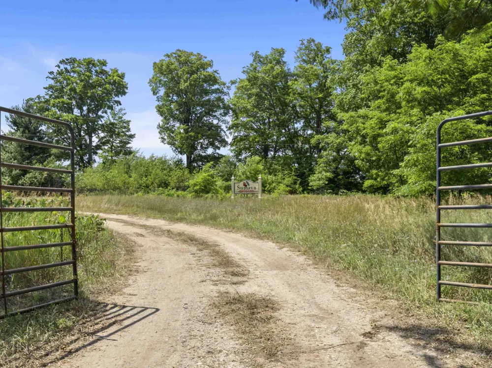 12540 S Benzonia Trail Empire Township, MI 49630
