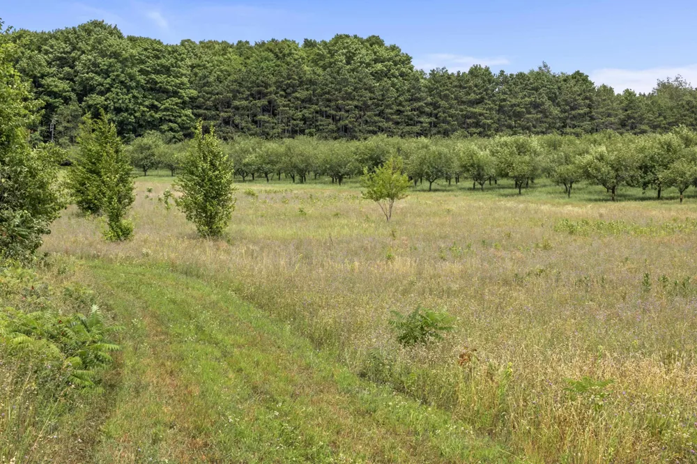 12540 S Benzonia Trail Empire Township, MI 49630