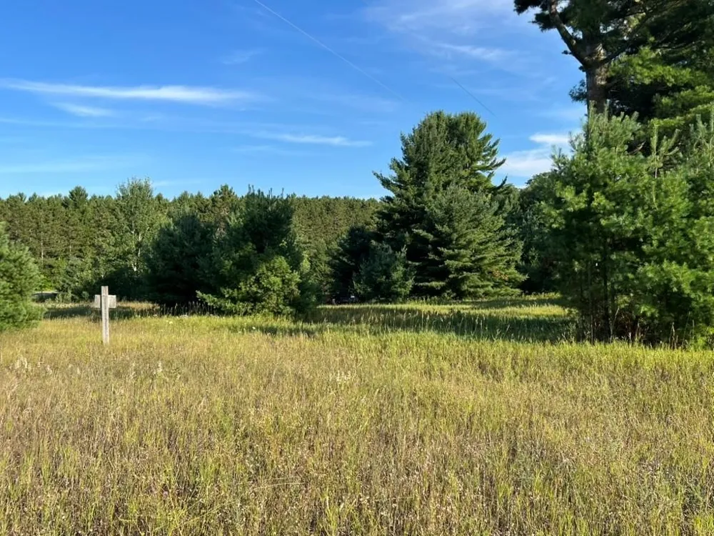 12540 S Benzonia Trail Empire Township, MI 49630