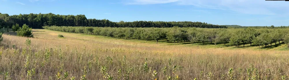 12540 S Benzonia Trail Empire Township, MI 49630