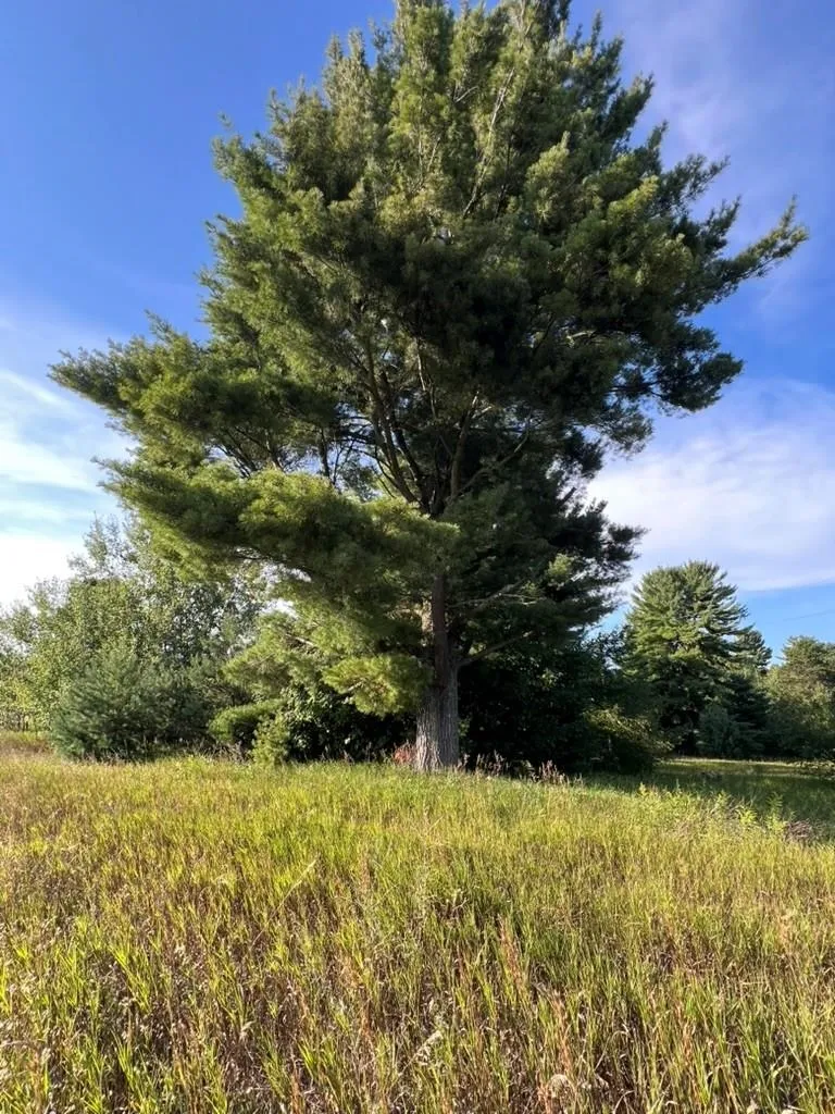12540 S Benzonia Trail Empire Township, MI 49630