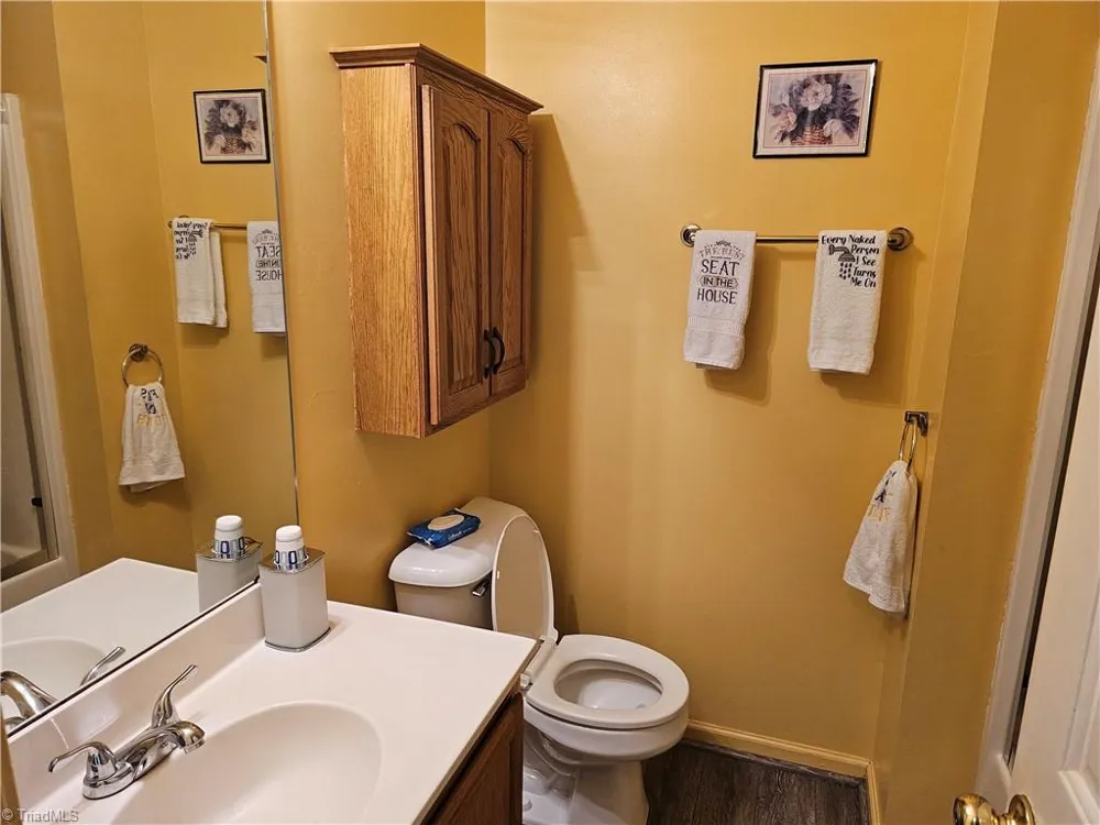 306 Gardner Point Drive Stony Point, NC 28678
