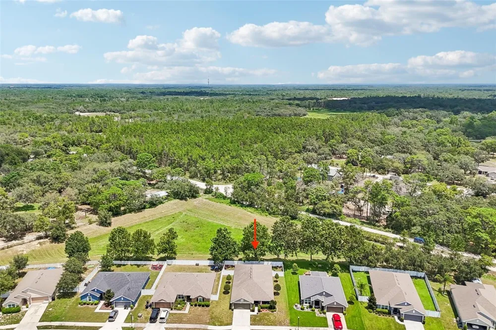 16214 VINE CLIFF AVENUE Hudson, FL 34667