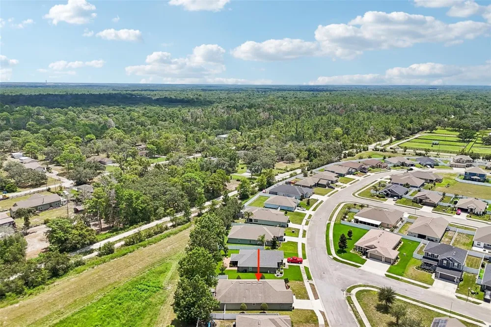 16214 VINE CLIFF AVENUE Hudson, FL 34667