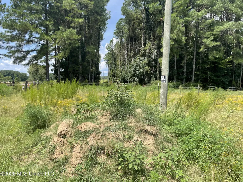 Steward Road Senatobia, MS 38668