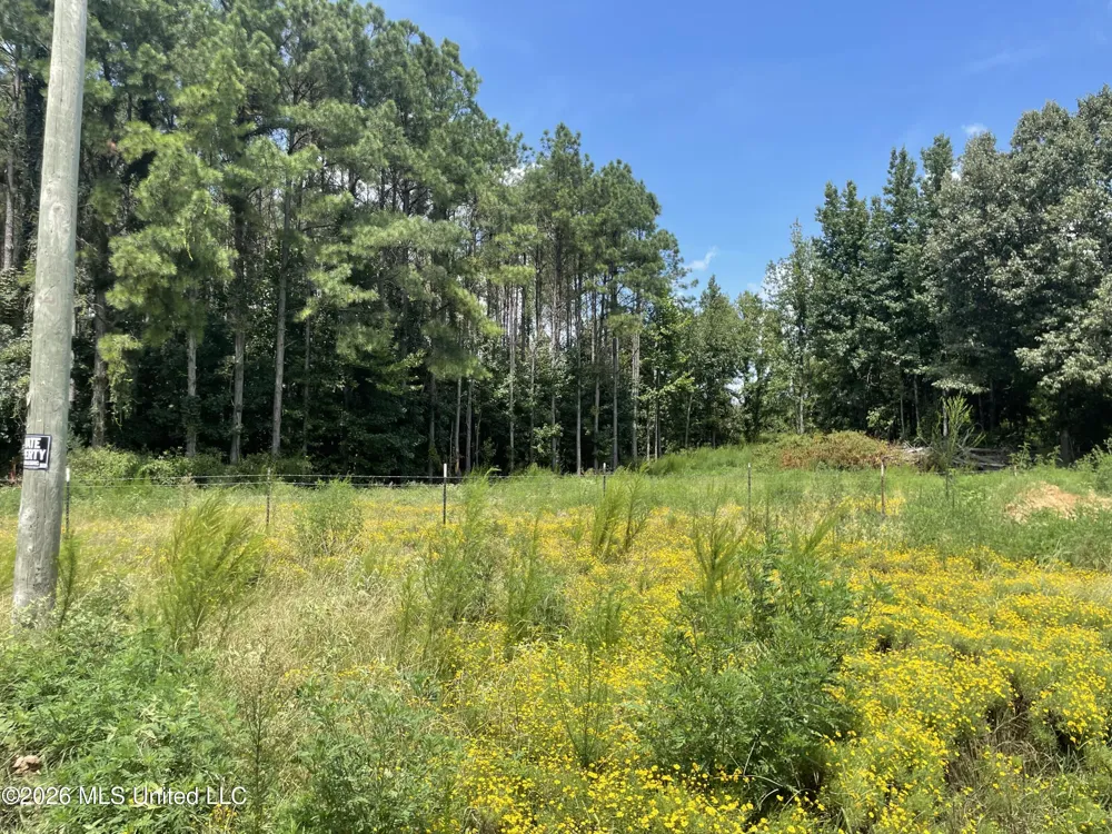 Steward Road Senatobia, MS 38668