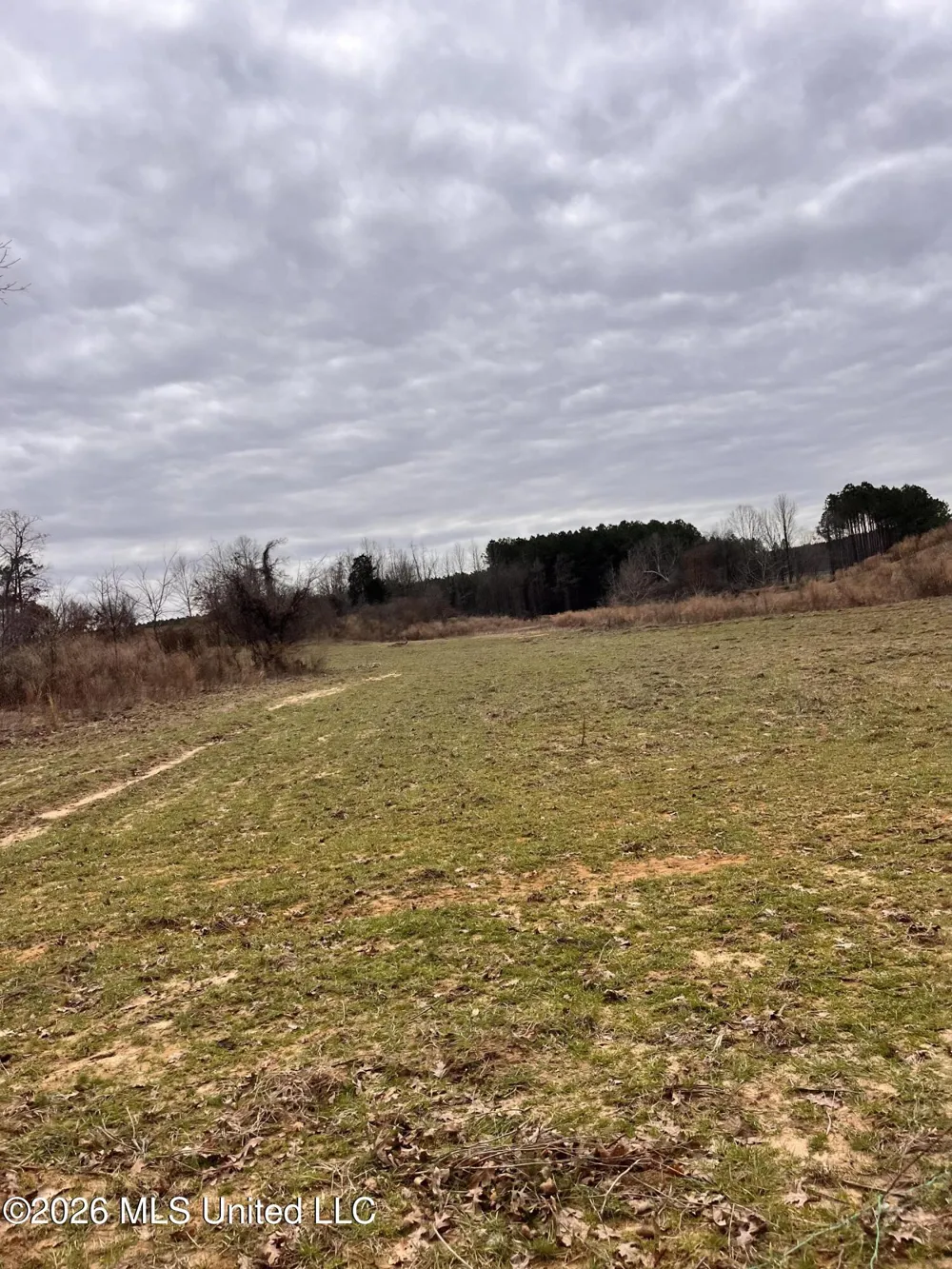 Steward Road Senatobia, MS 38668