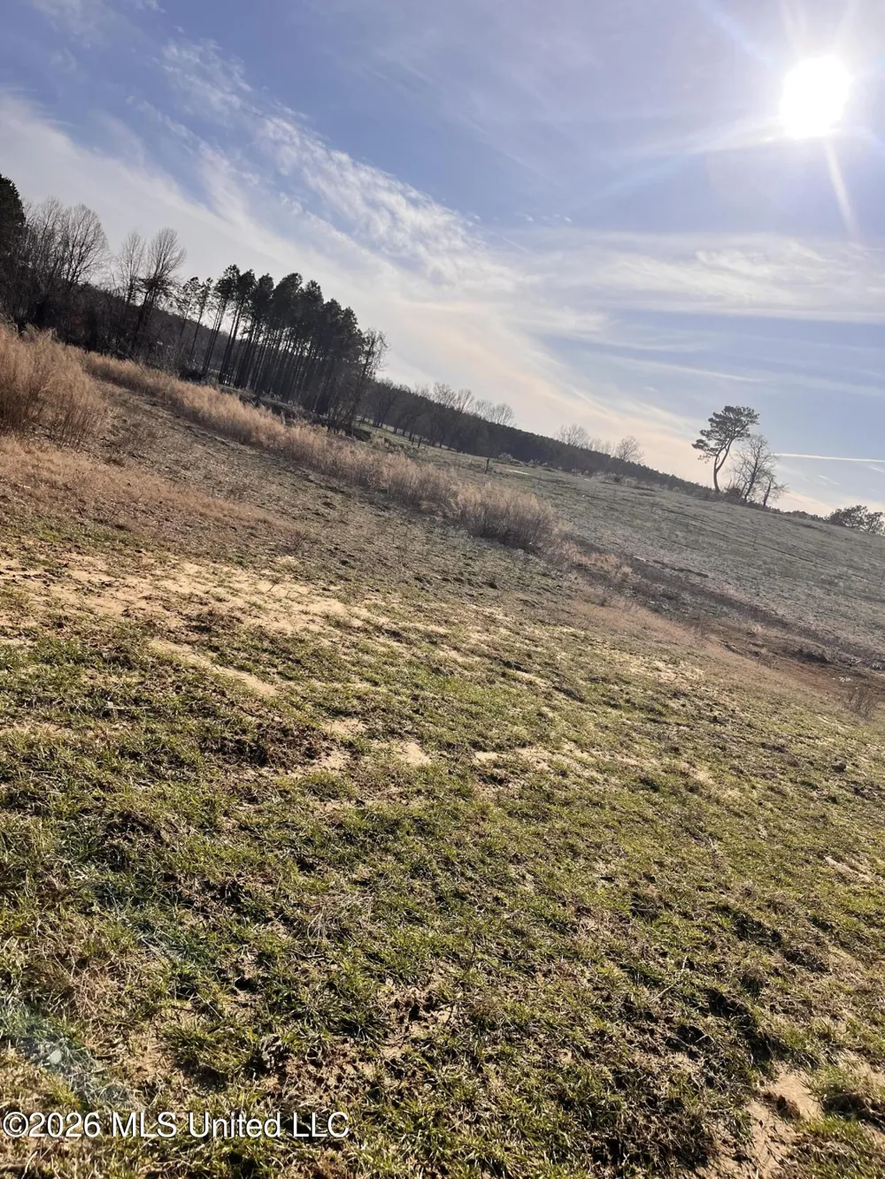Steward Road Senatobia, MS 38668