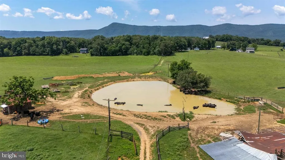 4381 US HIGHWAY 340 Luray, VA 22835