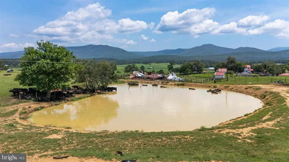 4381 US HIGHWAY 340 Luray, VA 22835