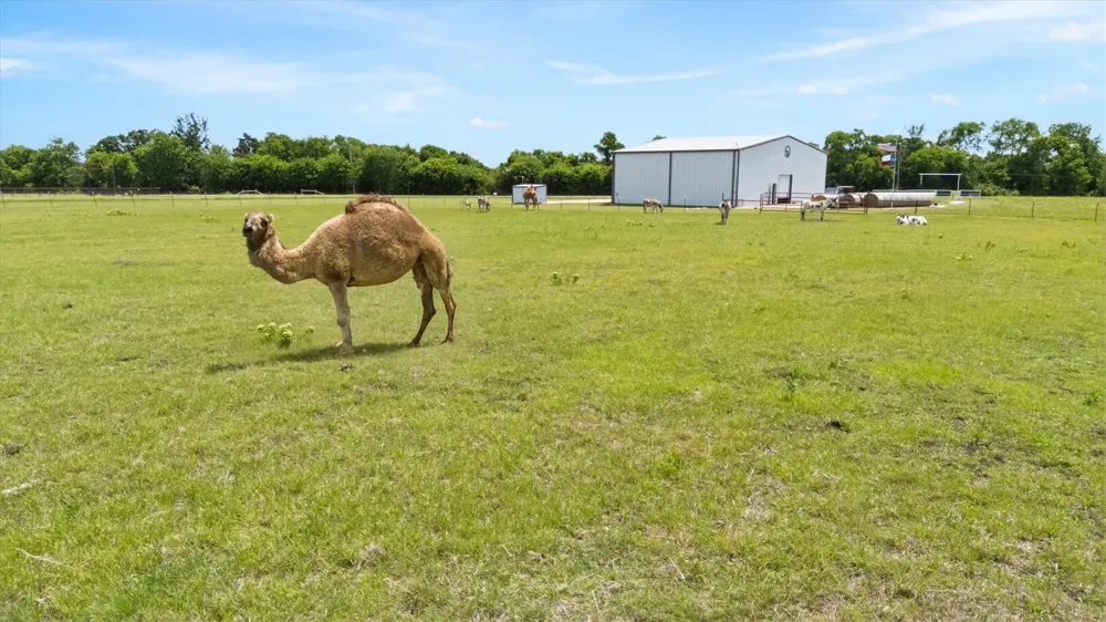 14705 County Road 545 Nevada, TX 75173