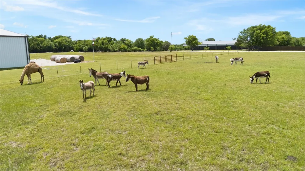 14705 County Road 545 Nevada, TX 75173