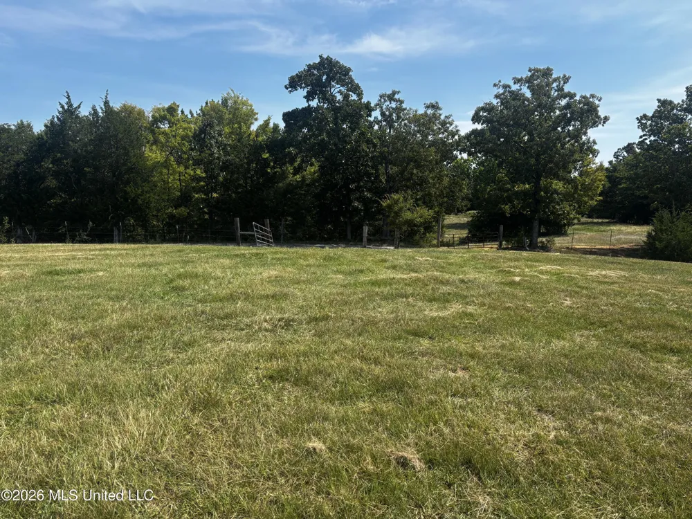 Still Road Sardis, MS 38666