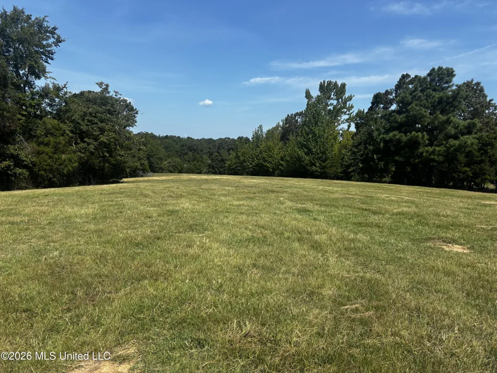 Still Road Sardis, MS 38666