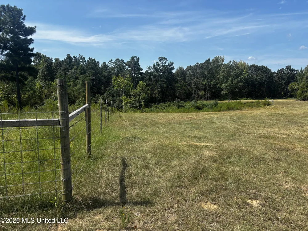 Still Road Sardis, MS 38666