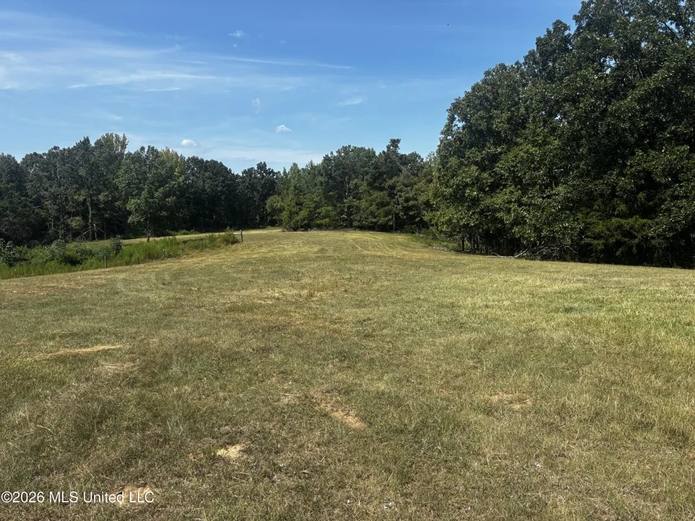 Still Road Sardis, MS 38666