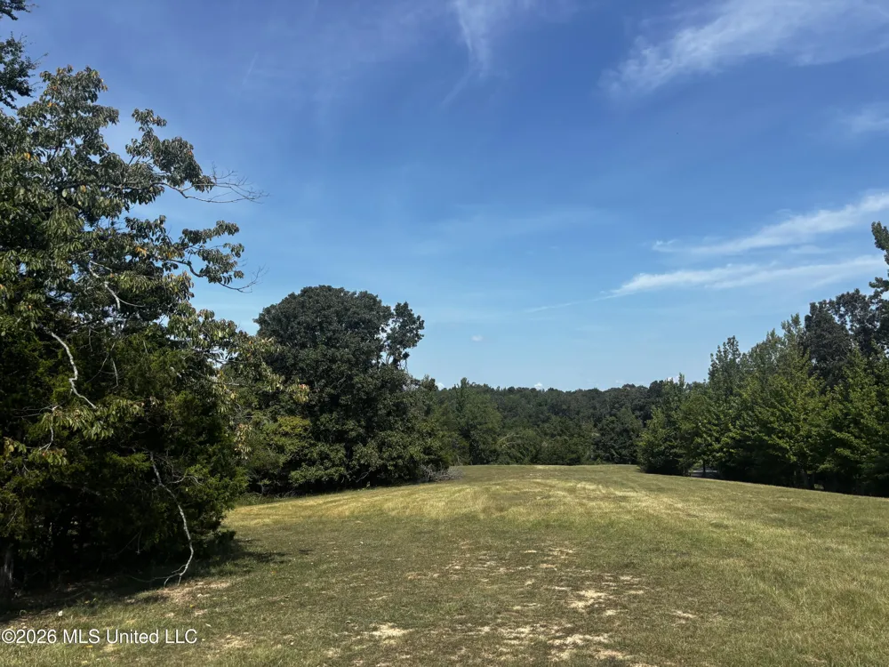 Still Road Sardis, MS 38666