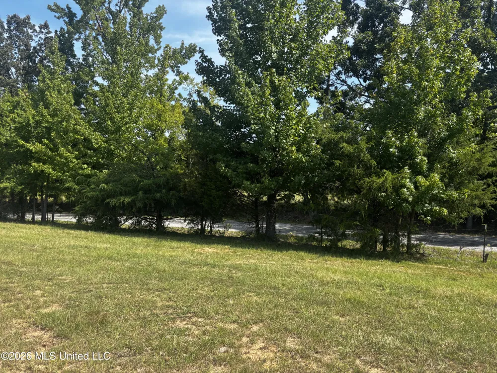 Still Road Sardis, MS 38666