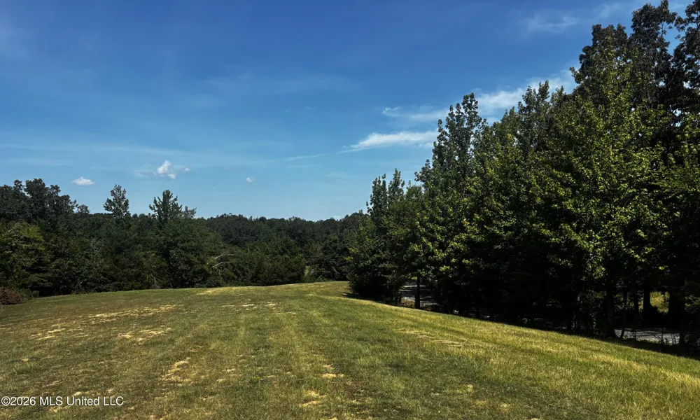 Still Road Sardis, MS 38666