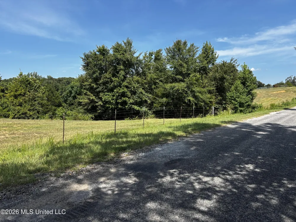 Still Road Sardis, MS 38666