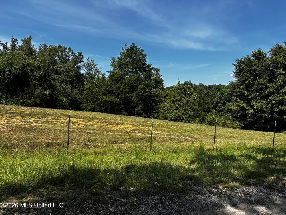 Still Road Sardis, MS 38666